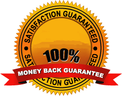 Guaranteed Success Logo